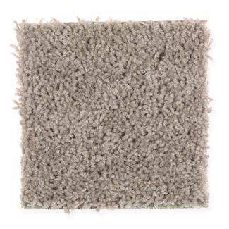 Mohawk Great Start Willow Bark