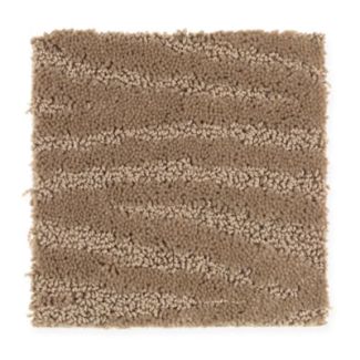 Mohawk Dramatic Flair Velvet Brown