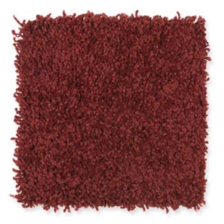 Mohawk Smart Color Ladybug