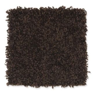 Mohawk Smart Color Hot Fudge