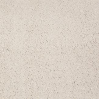 Mohawk Accelerator Plus Whitewash