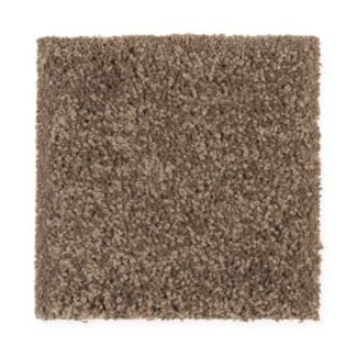 Mohawk Colonial Park Italian Suede