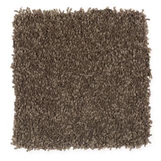 Mohawk Stunning Beauty Mountain Lodge