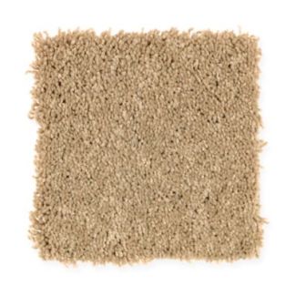Mohawk Maple Valley Buckskin