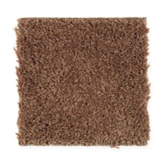 Mohawk Vibrant History Copper Penny