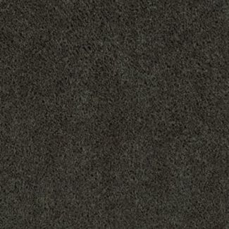 Mohawk Shooting Star Forest Glen