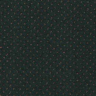 Mohawk Capital Port Belmont Green