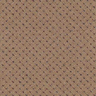 Mohawk Capital Port Regal Tan