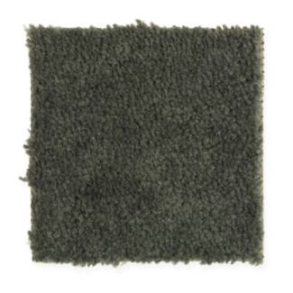 Mohawk Savory Oregano