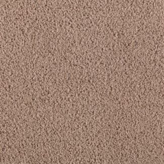 Mohawk Youthful Spirit Raisin Cookie