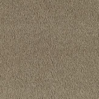 Mohawk Classy Cove Dry Grass