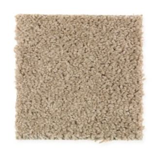 Mohawk Splurge Dried Herb