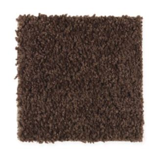 Mohawk Covet Brown Bear