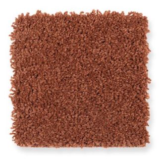 Mohawk Bright Inspiration Pumpkin Pie