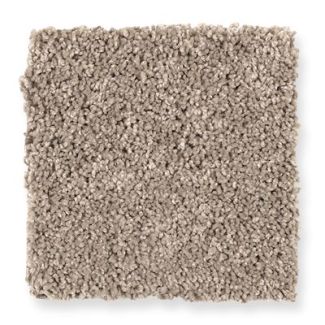 Mohawk Blissful Envision Pumice Stone