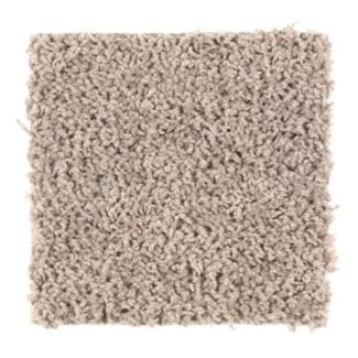 Mohawk Seaside Delight Oyster Shell