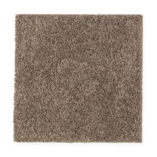 Mohawk Modern Attraction Hazy Taupe