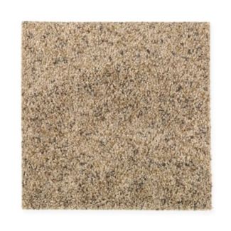 Mohawk Coastal Mood Toasted Almond