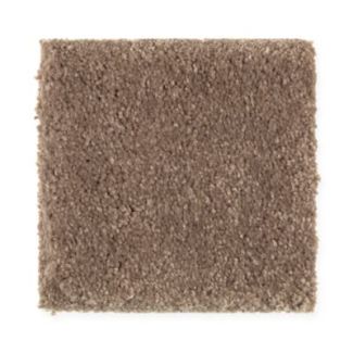 Mohawk Serene Sierra Colonial Brown