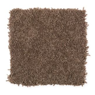 Mohawk Gentle Delight I Cocoa Powder