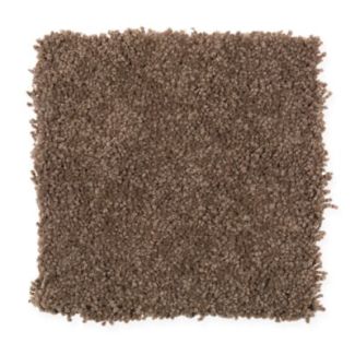 Mohawk Gentle Delight II Cocoa Powder