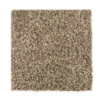 Mohawk Hidden Attraction Brass Tweed
