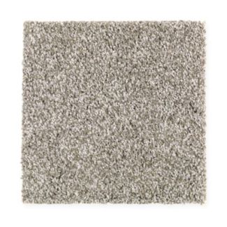 Mohawk Hidden Attraction Taupe Treasure