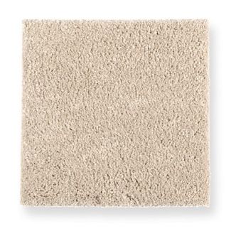 Mohawk Creative Landscape Desert Star