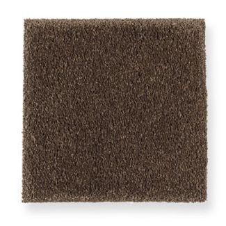 Mohawk Creative Landscape Burnished Brown