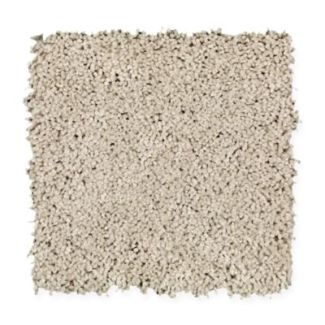 Mohawk Great Expectation II Canvas Cloth