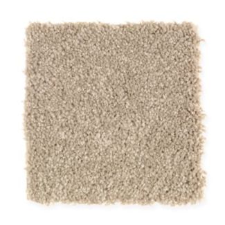 Mohawk Carlisle Way Canvas Cloth