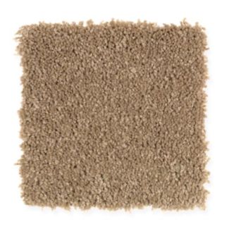 Mohawk Palmetto Point Solid 02(S)