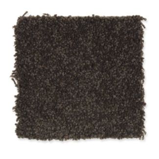 Mohawk Southern Grandeur Dark Chocolate