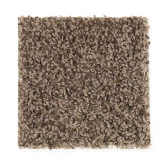 Mohawk Seeker Woodland