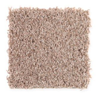 Mohawk Trendy Solution Biscotti