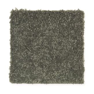 Mohawk Excess III Dried Moss