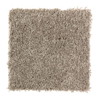 Mohawk Wise Choice Weathered Wood
