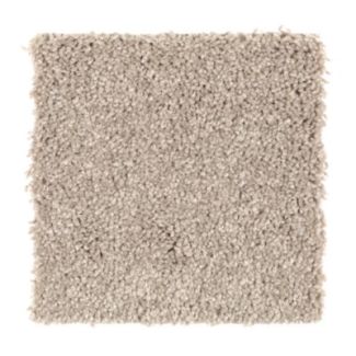 Mohawk Intriguing Array Brushed Suede