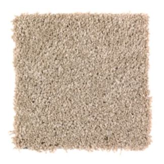 Mohawk Intriguing Array Raffia
