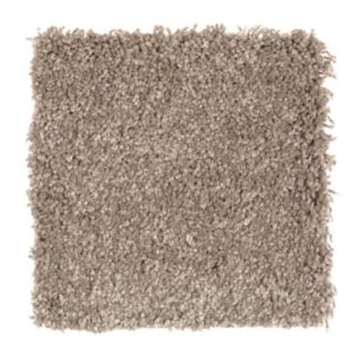 Mohawk Intriguing Array Weathered Wood