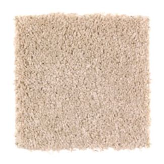 Mohawk Sweet Reflection Morning Glory