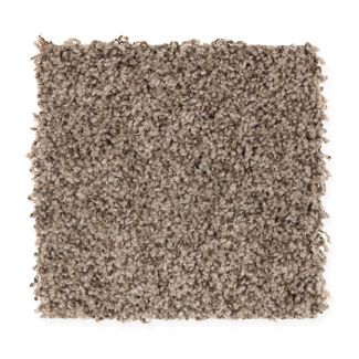 Mohawk Sunstruck Rich Roast