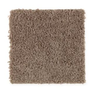 Mohawk Easy Decoration Montana