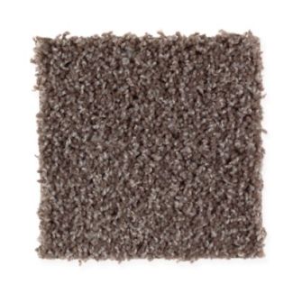 Mohawk Beige And Beyond Molten Penny