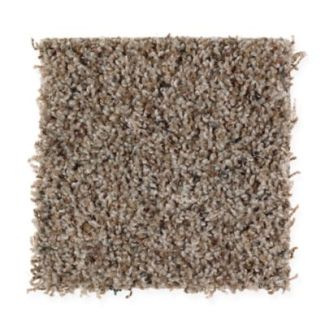 Mohawk Newland Pointe Nature's Blend