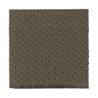 Mohawk Natural Fascination Dried Peat