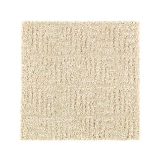 Mohawk Distinctive Nature Sand Dollar
