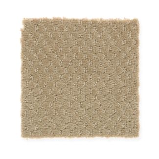 Mohawk Star Performer Macadamia