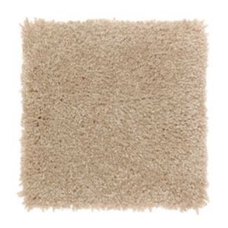 Mohawk Delightful Cheer Montego