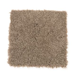 Mohawk Charming Elegance Solid Beech Bark
